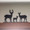 Wildlife Silhouette Family - Deer Family