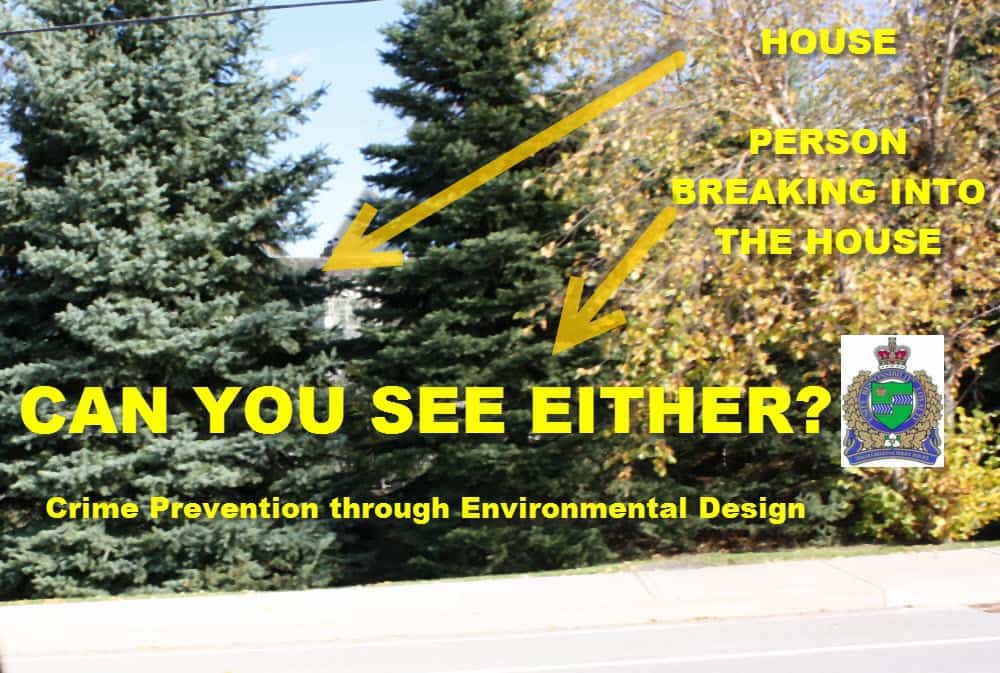 How to be an Easy Target for Crime Stun & Run Self Defense LLC