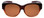 Front View of Calabria 9016 Medium/Large Polarized Fitover Sunglasses Crystal Amber Fade&Brown