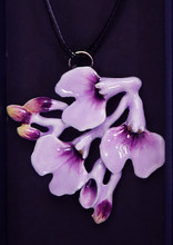 Ionopsis utricularioides Necklace