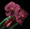 Vanda Benjamin Willner