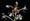 Vanda limbata
