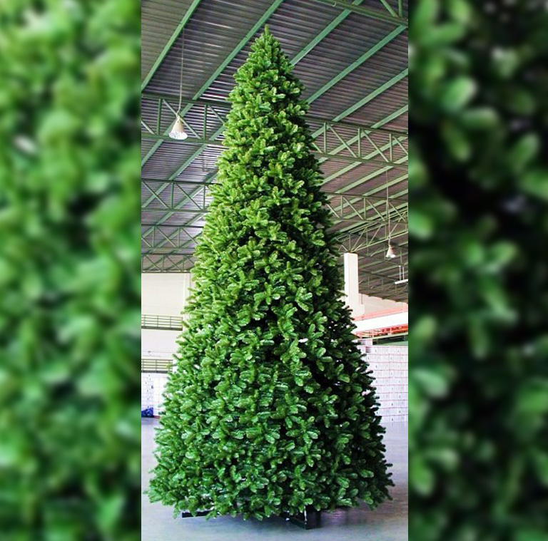 features-6.jpg features-commercialtrees.jpg