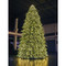 Paramount Spruce Indoor / Outdoor Tree 6m Pre-Lit with LED Lights