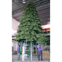 Paramount Spruce Indoor / Outdoor Tree , hanging on a branch panel