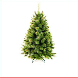 Radiata Balmoral Pine 1.37m Christmas Tree