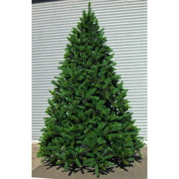 Oslo Spruce 14ft