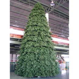 Paramount Spruce Outdoor Christmas Tree 12m