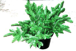 Christmas Bush Pot Filler