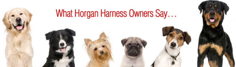 dogswhatownerssay.jpg