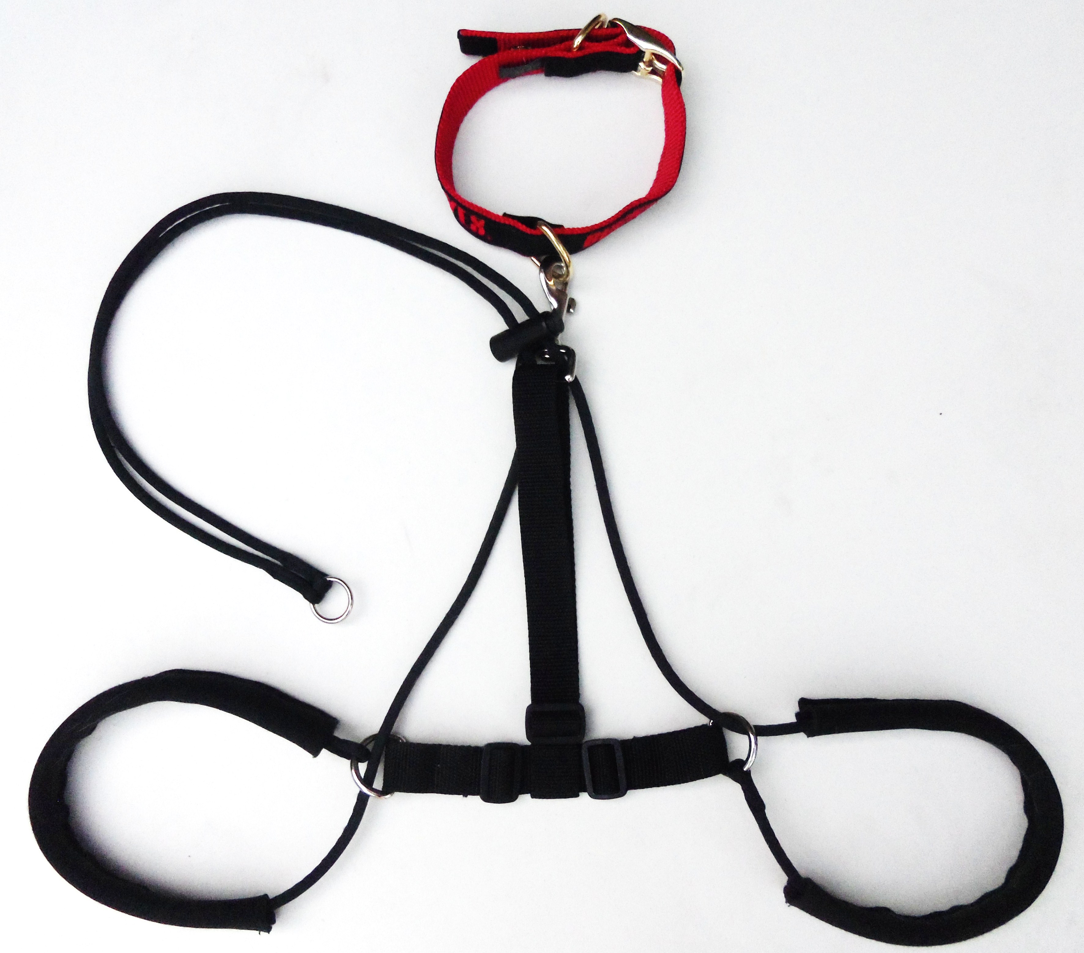 harness.jpg