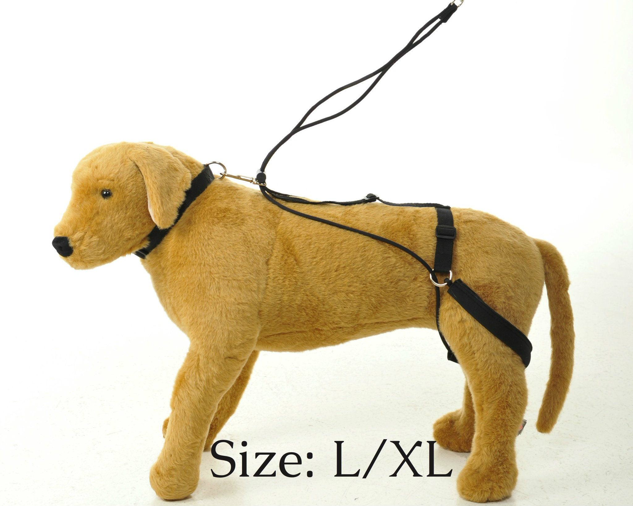 large-model.jpg