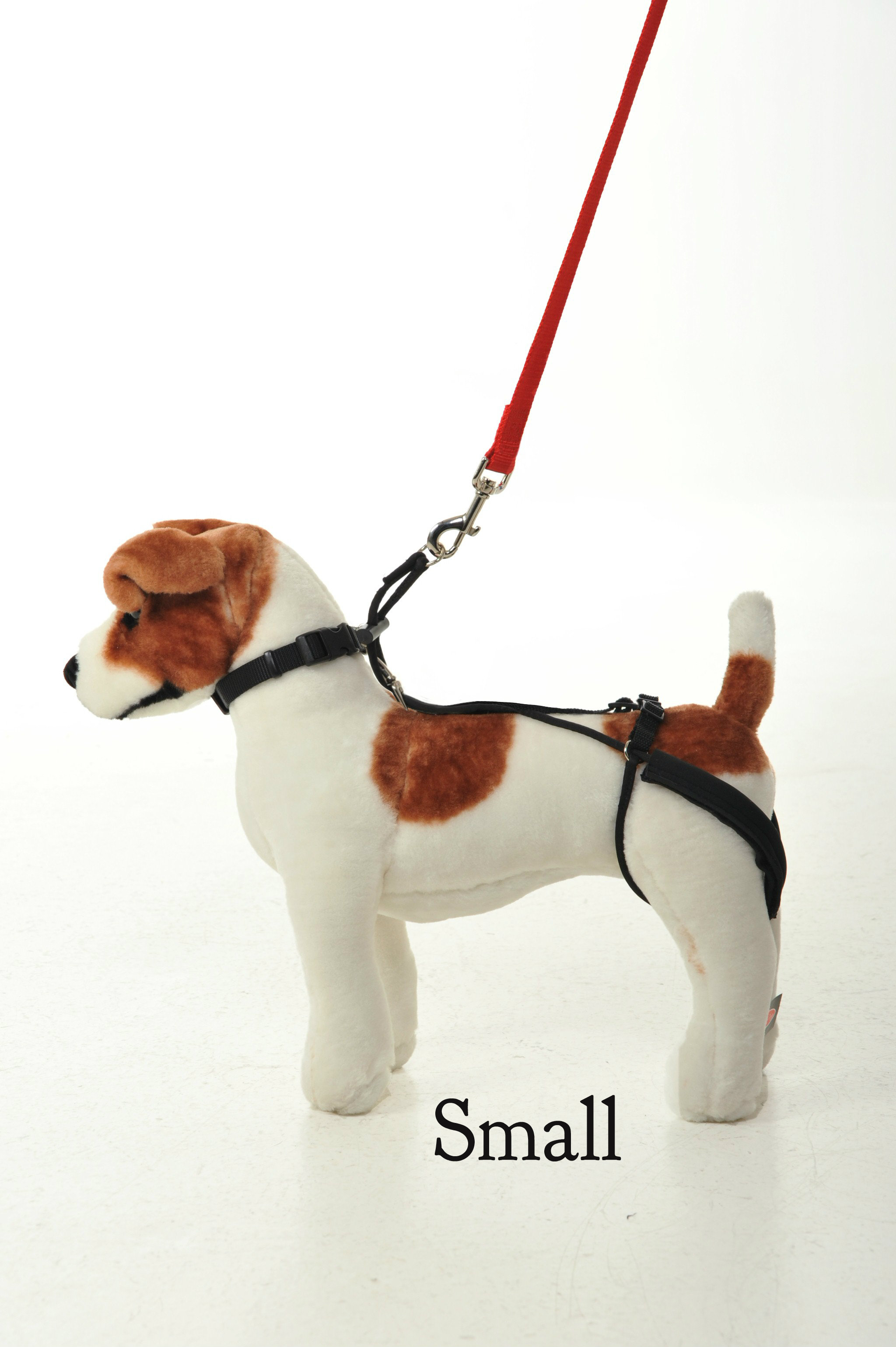 small-model.jpg
