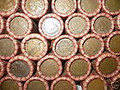 ROLL OF INDIAN CENTS: GRADE 4