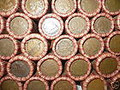ROLL OF INDIAN CENTS: GRADE 3