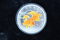2007 $5 Canada Maple Leaf Colorized 1oz SILVER - Sugar Maple in Orange 