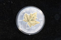 2008 $5 Canada 1oz SILVER Colorized Maple Leaf - 20th Anniversary 