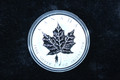 2004 1oz  Silver Maple Leaf. D-Day coin
