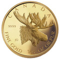 2004 50c Majestic Moose 1/25 Ounce Gold Coin