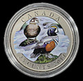 2014 Canada 25-Cent Colored Coin - Harlequin Duck