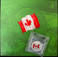 2015 Canada $25 SILVER Coin The Flag - 1/4 oz. ASW