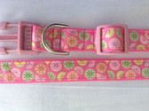 DELICIOUS Dog Collar & Leash