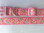 DELICIOUS Dog Collar & Leash