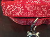 Red and white designer dog collar with matching leash