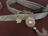 silver dog collar and leash