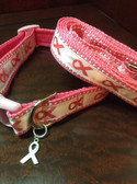 Breast cancer awareness dog collar and leash