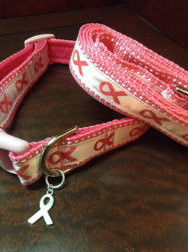Breast cancer awareness dog collar and leash