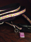 Pink and green dot dog collar and leash