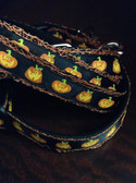 Pumpkin dog collar and leash