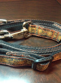Spiderweb dog collar and leash