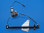 Right (Passenger) Rear Jeep Grand Cherokee Motor/Regulator Assembly. 2001-2004