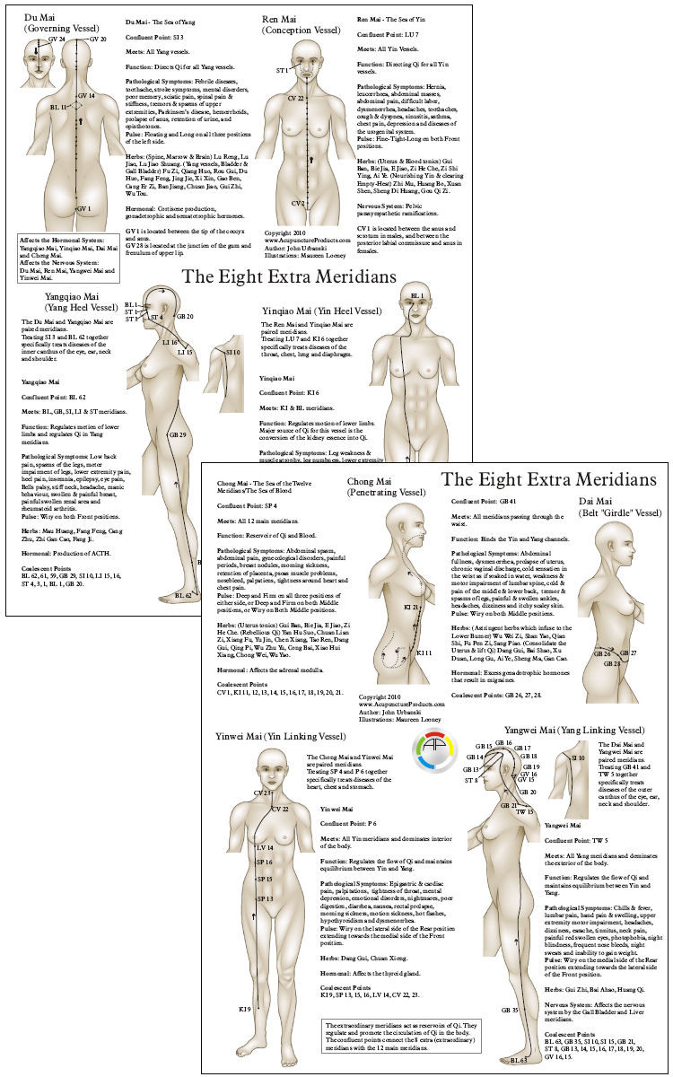The 8 Extra (Extraordinary) Meridians Chart - Clinical Charts and Supplies