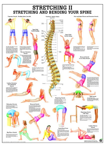 Spine Stretching Poster Clinical Charts And Supplies 6337