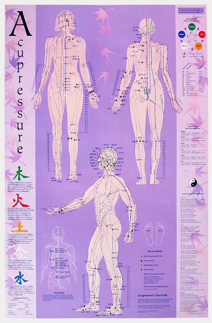 Acupuncture And Reflexology Charts Posters And Cards 