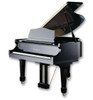 Reid Sohn SIG-155 5'2" Grand Piano