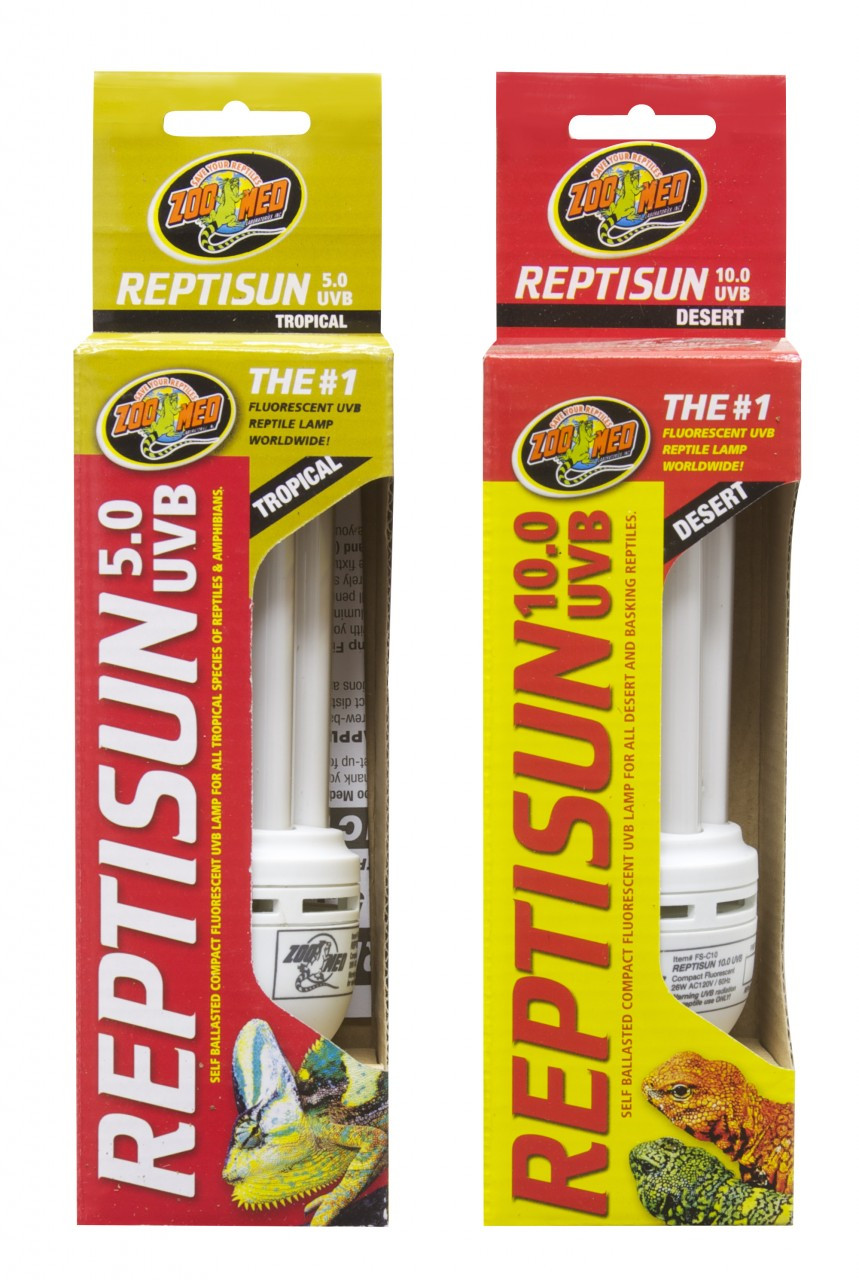 Reptisun Self Ballasted Compact Flourescent Lamps - Snakes at Sunset