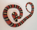 nelsons milksnake enclosures nelsons milksnake enclosures