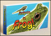 Tadpole to Frog Flipbook