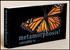 Butterfly Metamorphosis Flipbook Cover