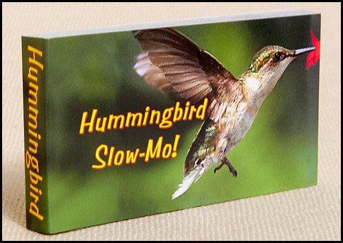 Hummingbird Slow-Mo! Flipbook Cover