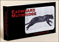 Muybridge Cat Flipbook