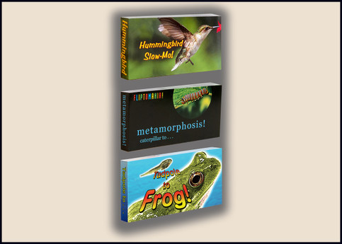 Nature Flipbook 3 Pack:  Caterpillar to Butterfly, Hummingbird, Tadpole to Frog