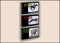 Fliptomania Muybridge Animal Flipbook 3-Pack