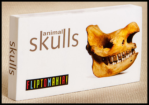 Fliptomania Animal Skulls Flipbook