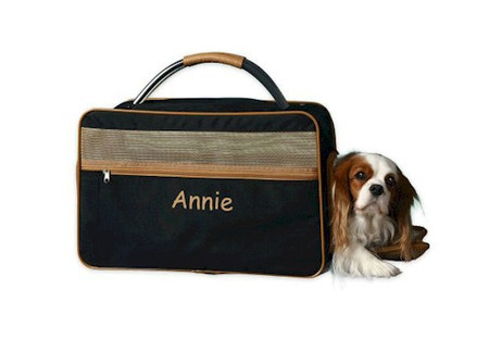 personalized dog carrier