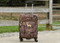 Kids Mossy Oak Carry-On with embroidery